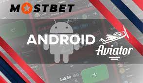 Wellington Firebirds vs Northern Districts, SST20, Today Suit Prediction
